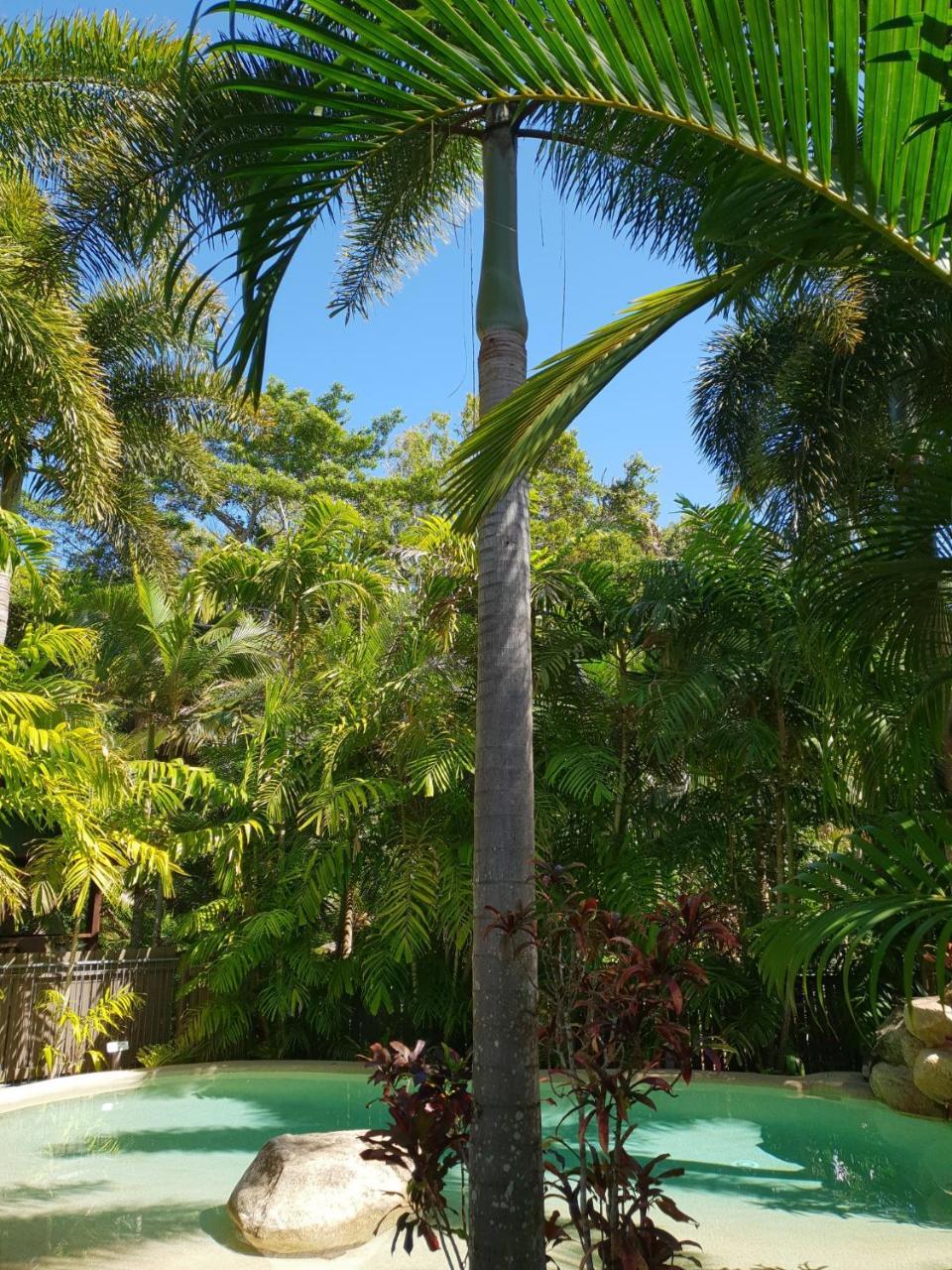 Cassawong Cottages Mission Beach Luaran gambar